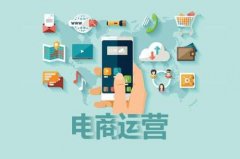 淘宝电商运营分析报告 京东FBP、LBP、SOP、SOPL 四